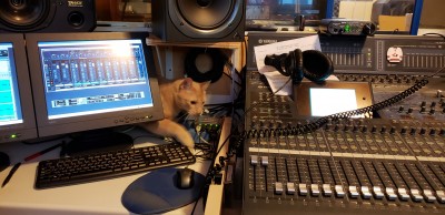 20180827Catmouse_in_studi_reduced.jpg